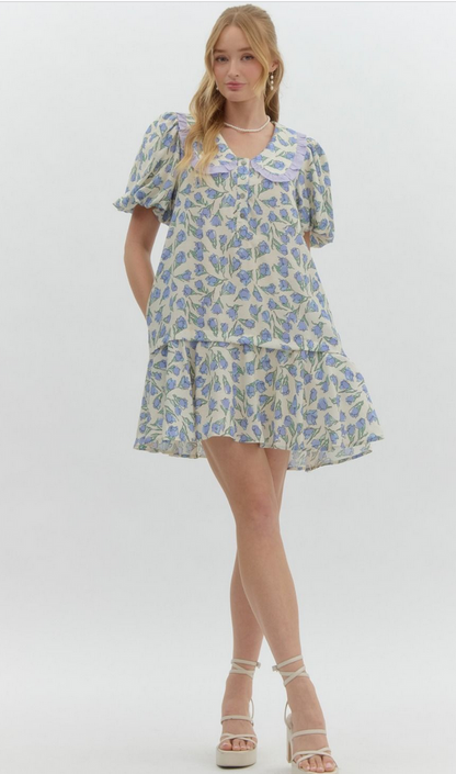 Periwinkle Dress